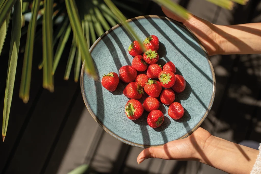 Like. by Villeroy&Boch - Lave Glace - Talerz sałatkowy 23,5cm