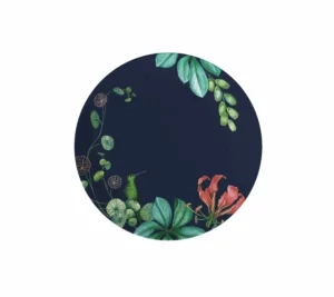 Villeroy&Boch - Avarua - Talerz śniadaniowy (2) 22 cm